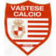 ASD Vastese Calcio 1902