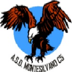 Montesilvano Calcio a 5